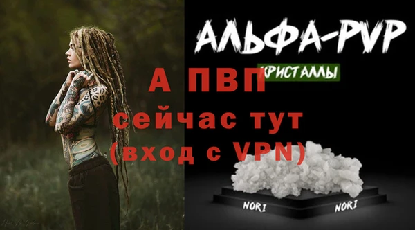 a pvp Михайловск