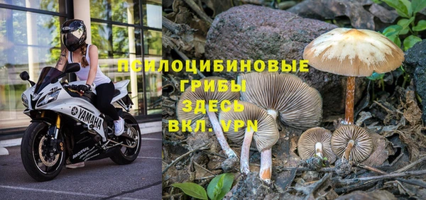 прущая мука Михайлов
