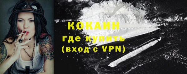 mdpv Медвежьегорск