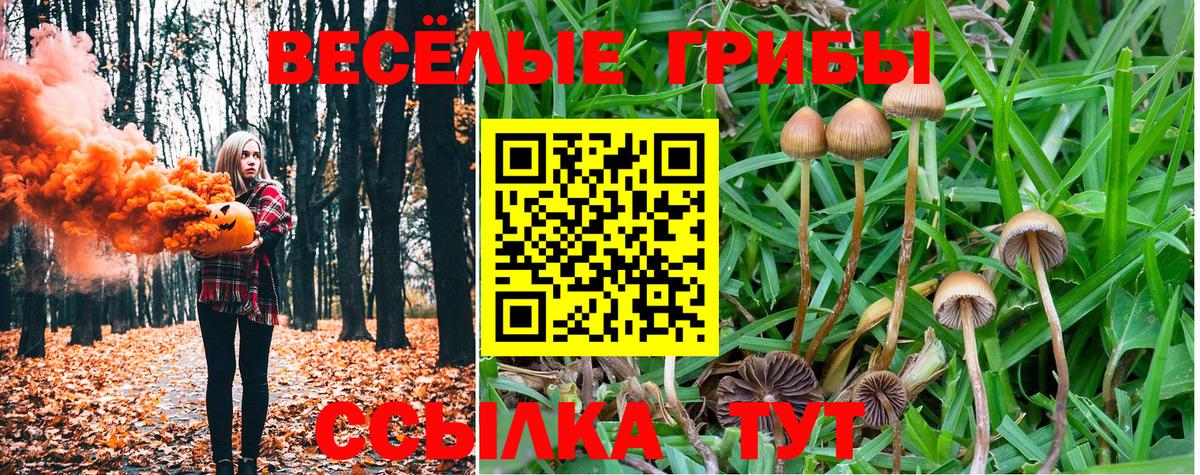 Псилоцибиновые грибы GOLDEN TEACHER Джанкой