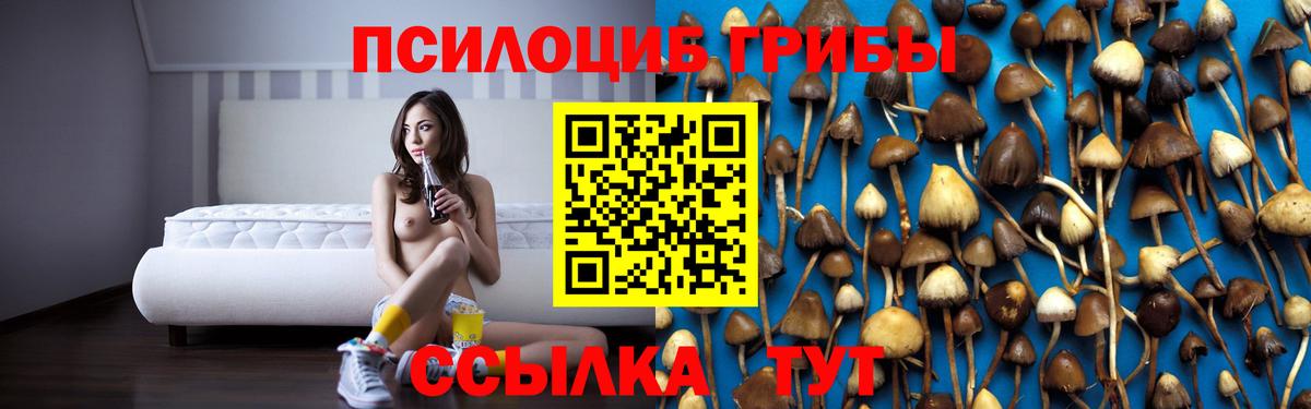 Галлюциногенные грибы MAGIC MUSHROOMS  Вход с VPN  Джанкой 